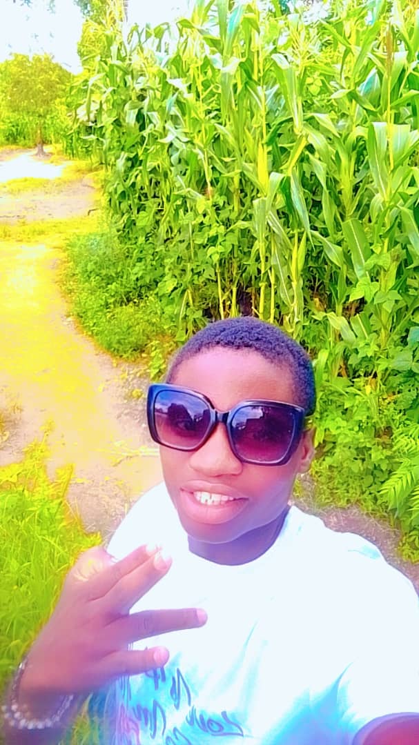 Gypesam tsetse